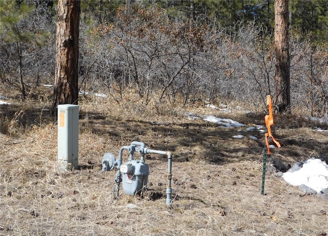 1025 Tenderfoot Dr, Larkspur, CO 80118 - view of yard