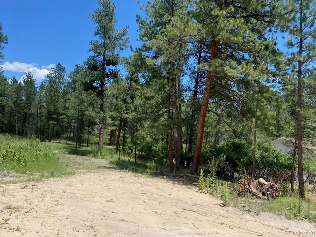 1025 Tenderfoot Dr, Larkspur, CO 80118 - photo 2