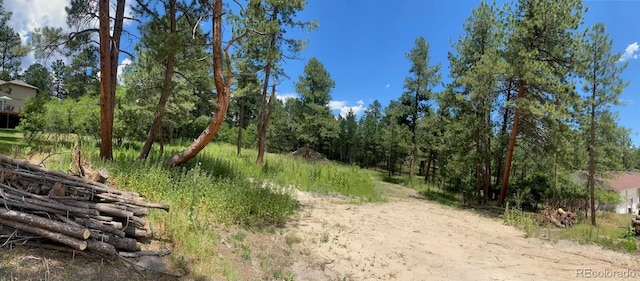 1025 Tenderfoot Dr, Larkspur, CO 80118 - photo 4