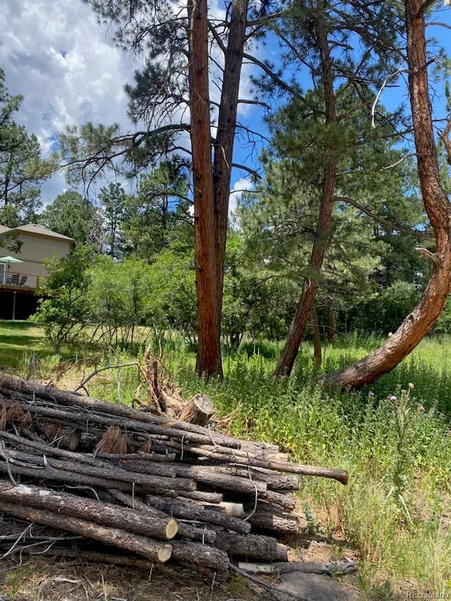 1025 Tenderfoot Dr, Larkspur, CO 80118 - photo 5
