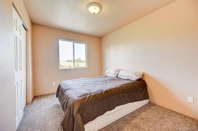 12430 Old Barn Rd, Elbert, CO 80106 - photo 22
