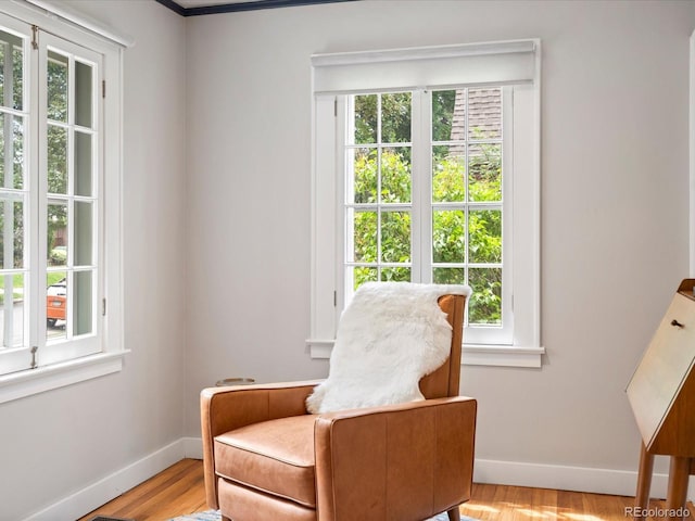 sitting room featuring a healthy amount of sunlight and light wood-type flooring