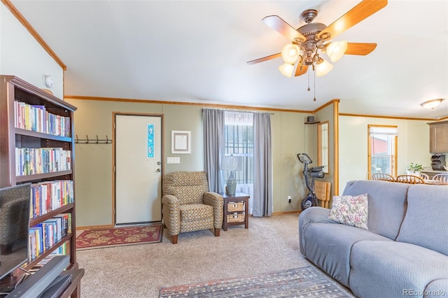 910 J St Unit D1, Salida, CO 81201 - living area featuring crown molding, a ceiling fan, carpet, and baseboards