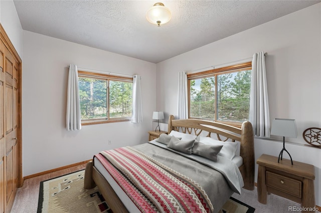 2100 Bibles Hill Dr, Franktown, CO 80116 - carpeted bedroom featuring a textured ceiling and baseboards