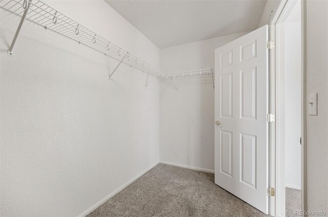 spacious closet with carpet floors