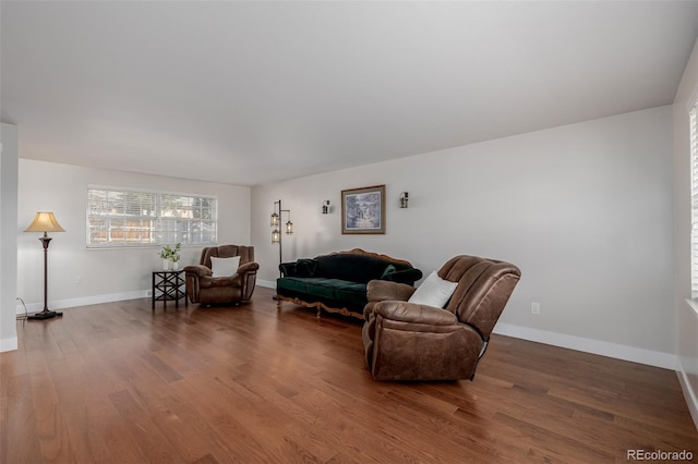 living room featuring wood-type flooring