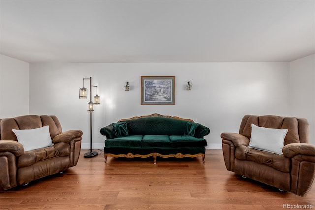 living room with light hardwood / wood-style flooring