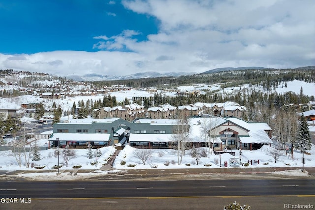 78491 US Highway 40 Unit 5, Winter Park, CO 80482 - photo 23