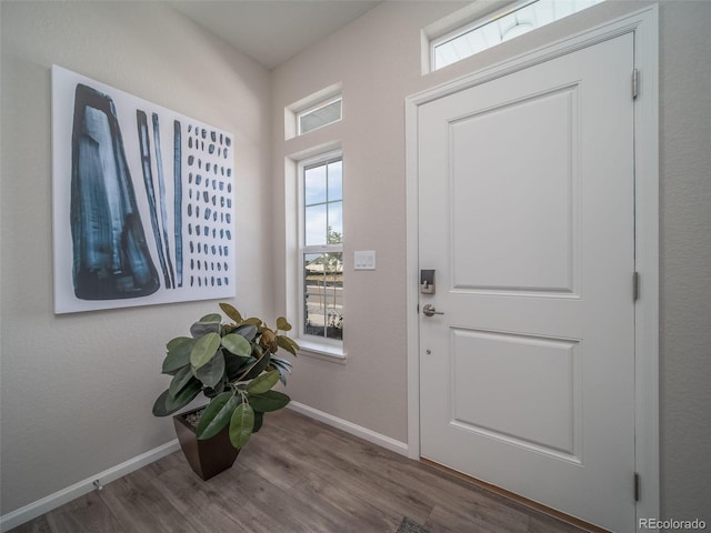 entryway with hardwood / wood-style floors