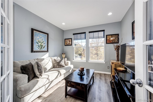 living room with hardwood / wood-style flooring and french doors