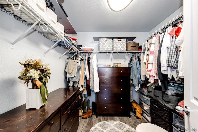 spacious closet with wood-type flooring