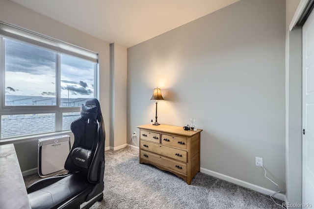 6153 N Ceylon St Unit 2-202, Denver, CO 80249 - office with light carpet and baseboards