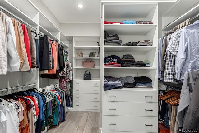 spacious closet with light wood finished floors