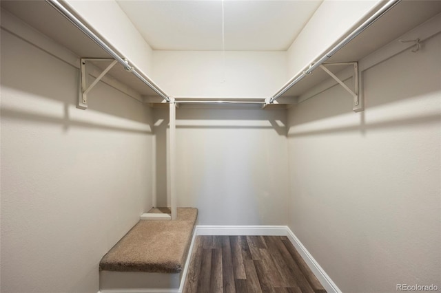 2856 S Kenton Ct, Aurora, CO 80014 - spacious closet featuring dark wood-style floors