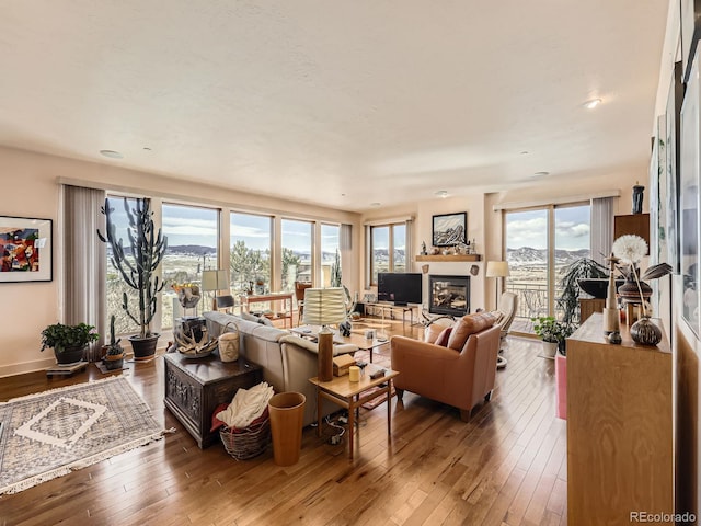 living area featuring a glass covered fireplace, wood-type flooring, and baseboards