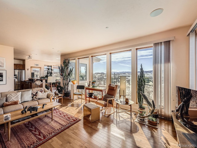 living room with hardwood / wood-style floors