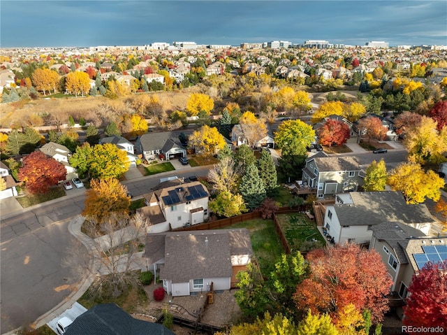 bird's eye view