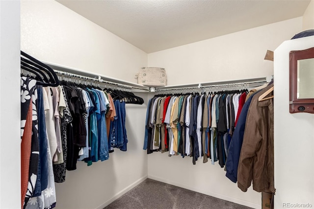 690 W 172nd Pl, Broomfield, CO 80023 - spacious closet featuring carpet