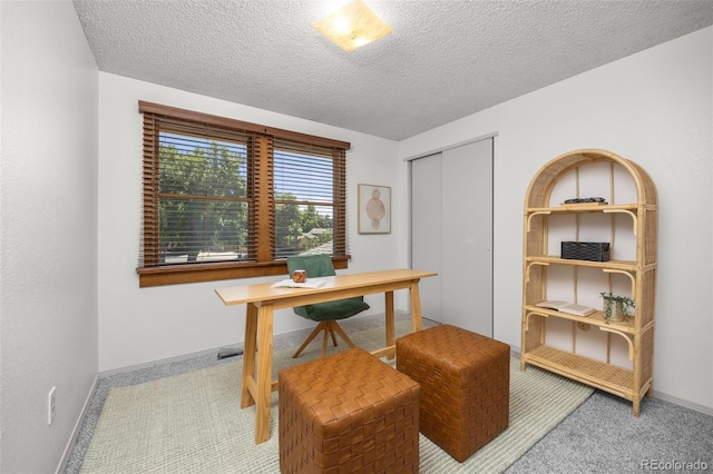 9025 Jellison Ct, Broomfield, CO 80021 - carpeted office space featuring baseboards and a textured ceiling