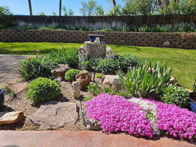 9025 Jellison Ct, Broomfield, CO 80021 - view of fenced backyard