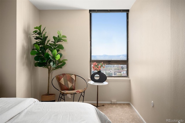 bedroom featuring carpet floors and baseboards