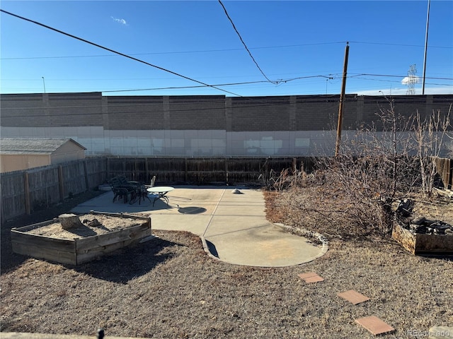 view of yard featuring a patio area