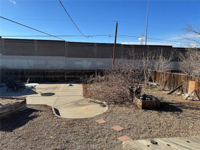 view of yard with a patio