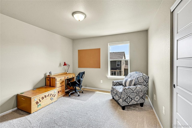 7888 E 139th Pl, Brighton, CO 80602 - office area featuring carpet floors