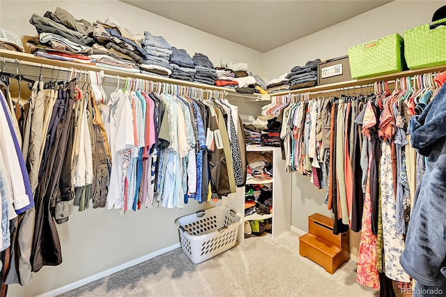 7888 E 139th Pl, Brighton, CO 80602 - walk in closet with carpet floors