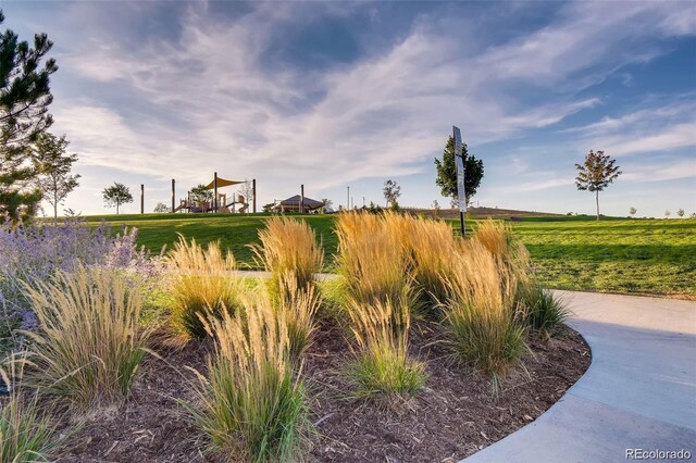 7888 E 139th Pl, Brighton, CO 80602 - view of yard