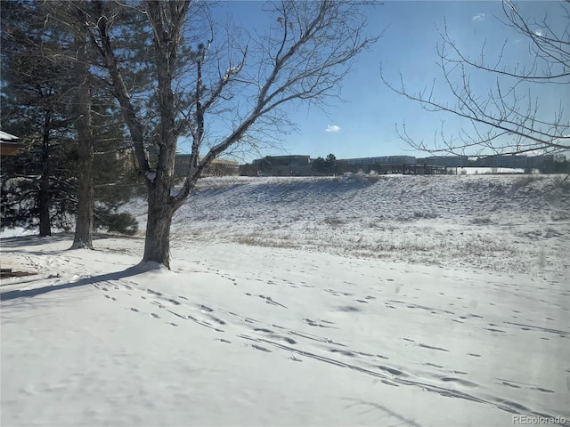 view of snowy yard