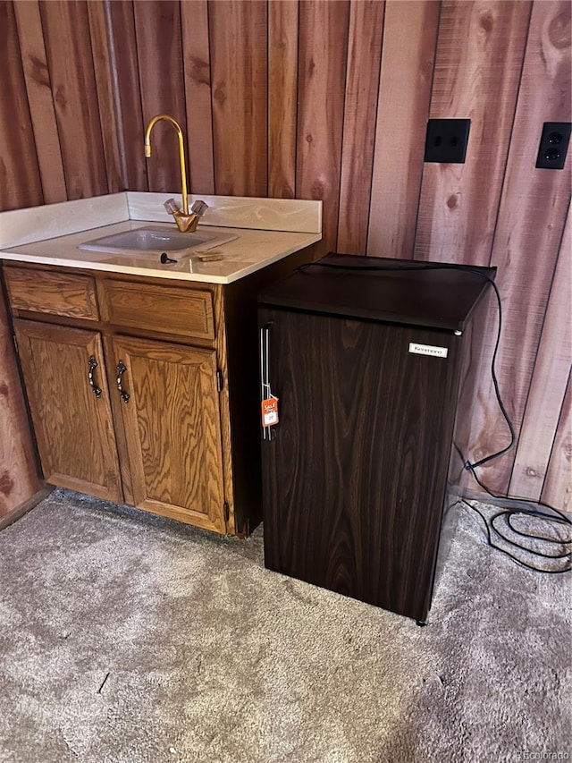 interior space featuring carpet flooring, sink, and wood walls