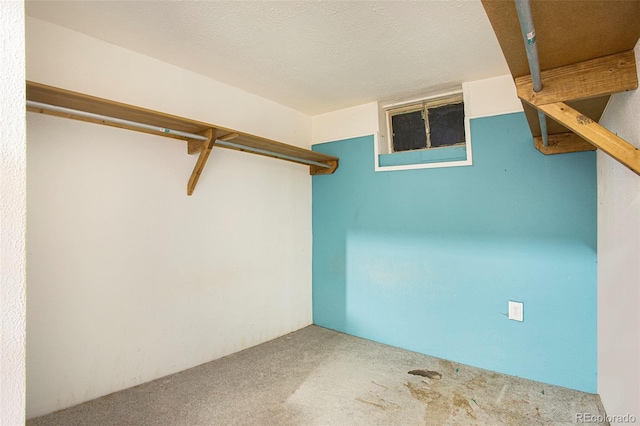 968 Terrace Cir, Colorado Springs, CO 80904 - walk in closet featuring carpet flooring