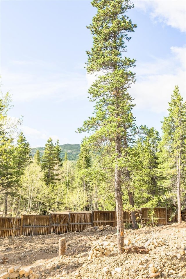 165 Laura Ave, Black Hawk, CO 80422 - photo 22