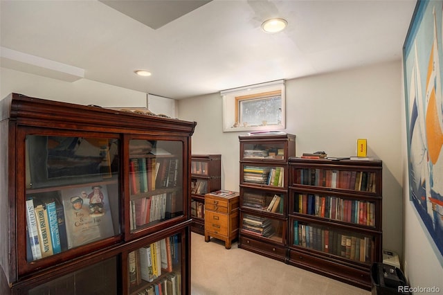 living area with carpet floors