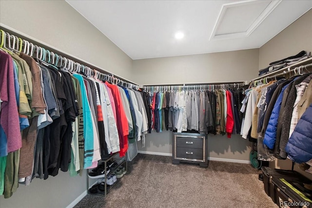 spacious closet with carpet flooring and attic access