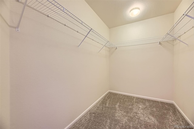 12704 Jasmine St Unit E, Thornton, CO 80602 - walk in closet with carpet flooring