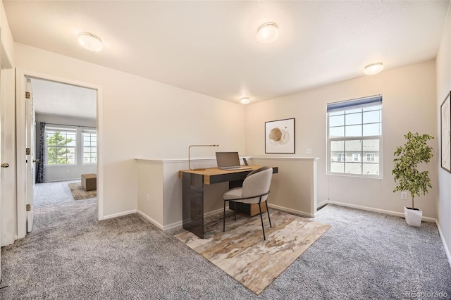 12704 Jasmine St Unit E, Thornton, CO 80602 - office space with carpet flooring and baseboards