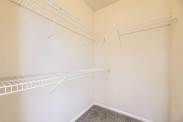 12704 Jasmine St Unit E, Thornton, CO 80602 - spacious closet featuring carpet floors