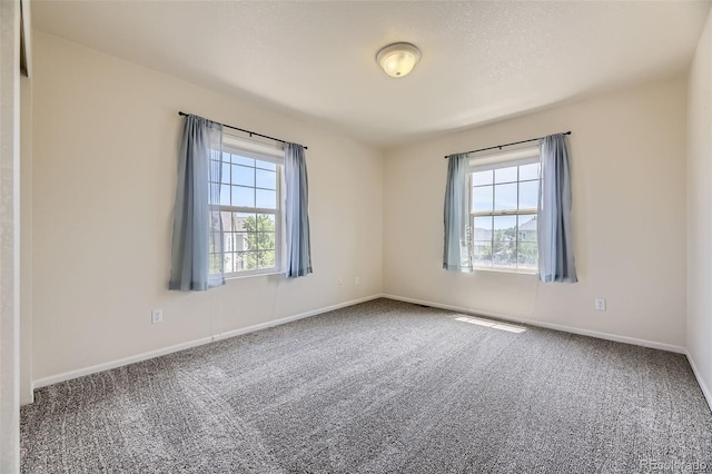 12704 Jasmine St Unit E, Thornton, CO 80602 - empty room with carpet and baseboards
