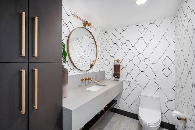 bathroom featuring hardwood / wood-style flooring, sink, and toilet