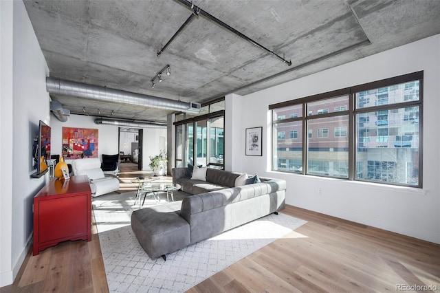 living room featuring hardwood / wood-style floors and rail lighting