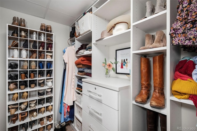 walk in closet featuring a paneled ceiling