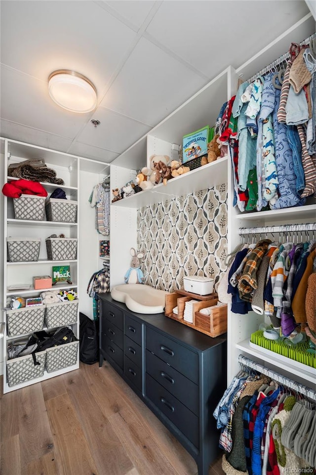 spacious closet featuring light hardwood / wood-style flooring and a drop ceiling