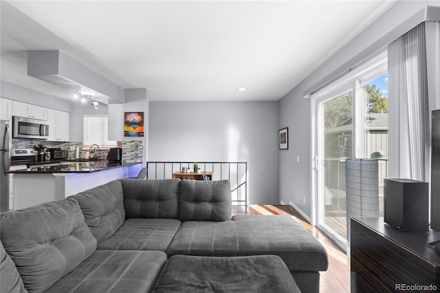 living room featuring light hardwood / wood-style flooring and sink