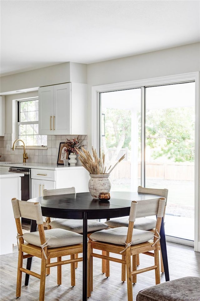 dining room with sink, light hardwood / wood-style floors, and a wealth of natural light