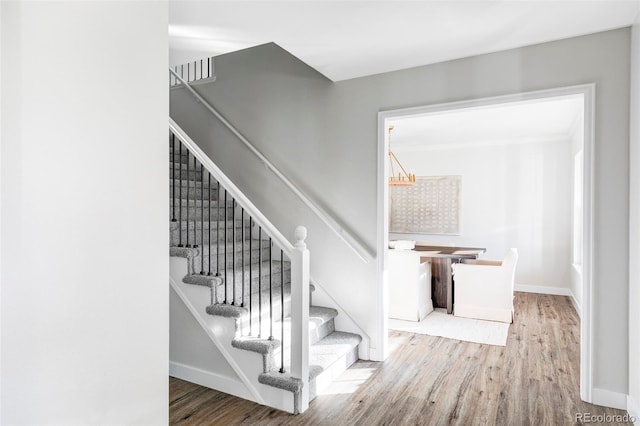 stairs featuring hardwood / wood-style flooring