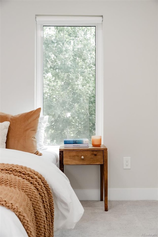 2040 W 45th Ave, Denver, CO 80211 - bedroom featuring carpet and multiple windows