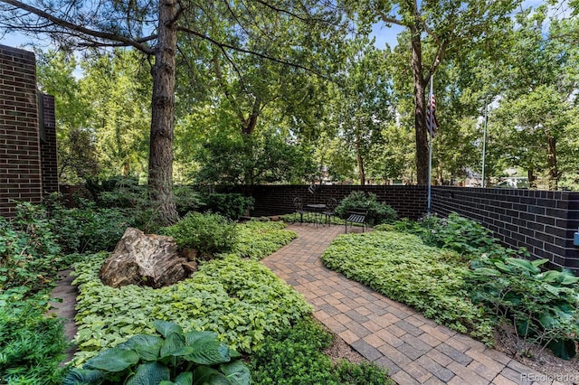 460 S Marion Pkwy Unit 801, Denver, CO 80209 - view of yard featuring a patio