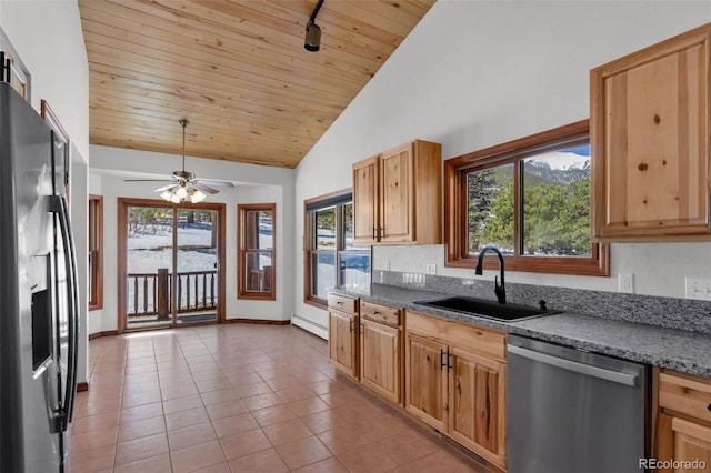 4860 County Road 140, Westcliffe, CO 81252 - kitchen with stainless steel appliances, a sink, a baseboard heating unit, plenty of natural light, and wood ceiling